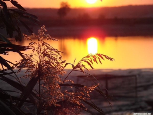 теплого летнего вечера