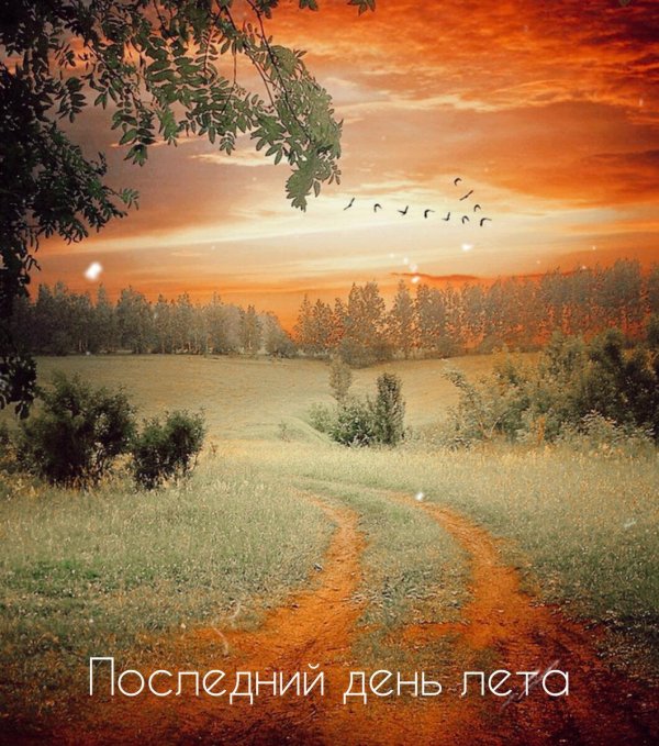 последние дни лета