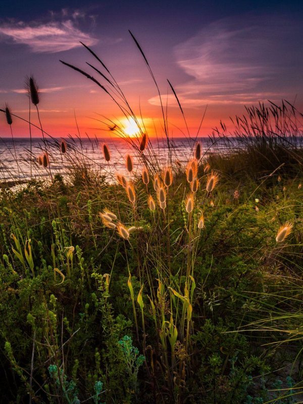 летние закаты