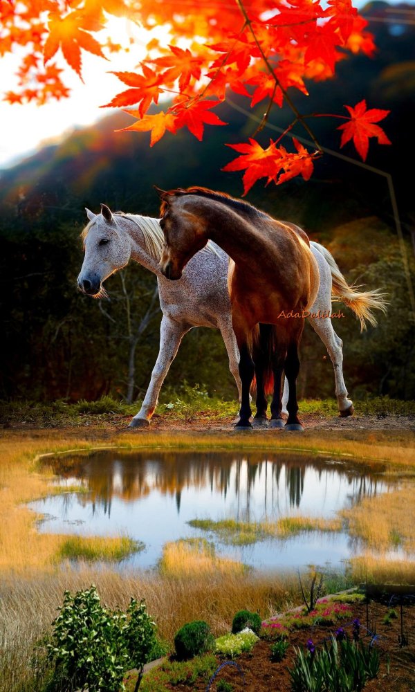 пейзаж с лошадьми