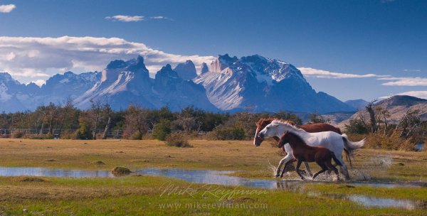 патагония равнины