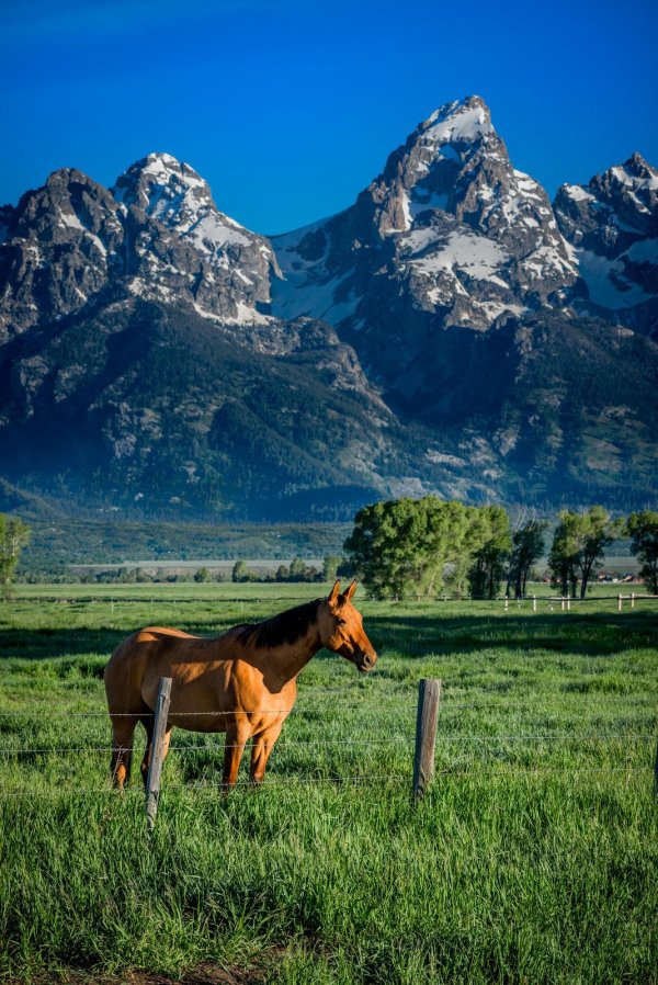 штат вайоминг гранд титон