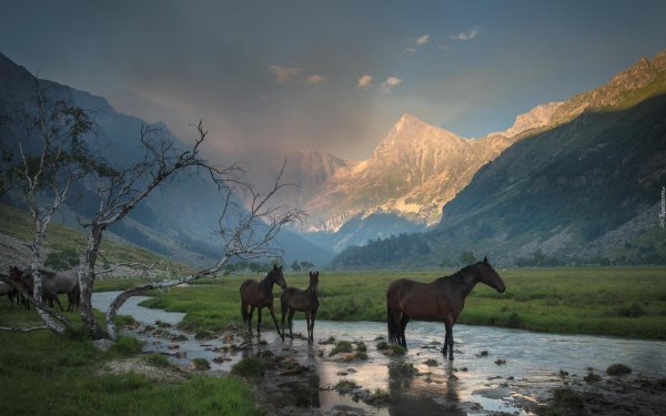 северная осетия алания