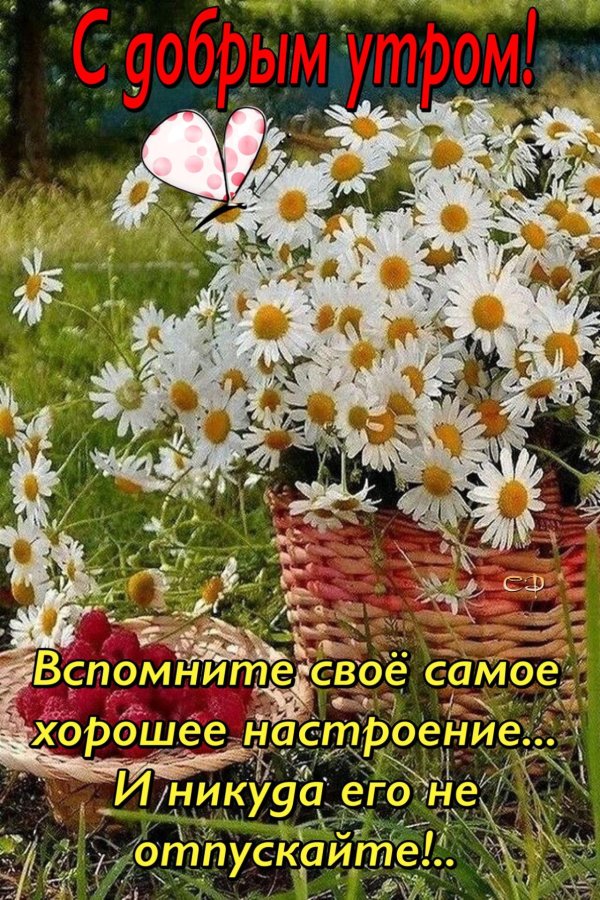 доброго летнего утра и хорошего настроения