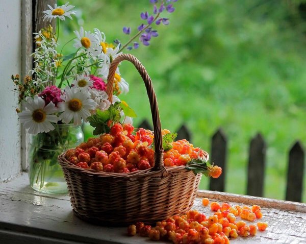 лето август