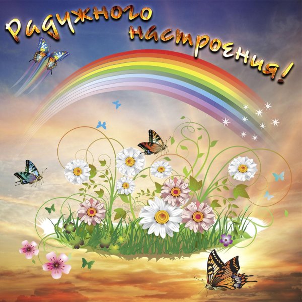 день радуги
