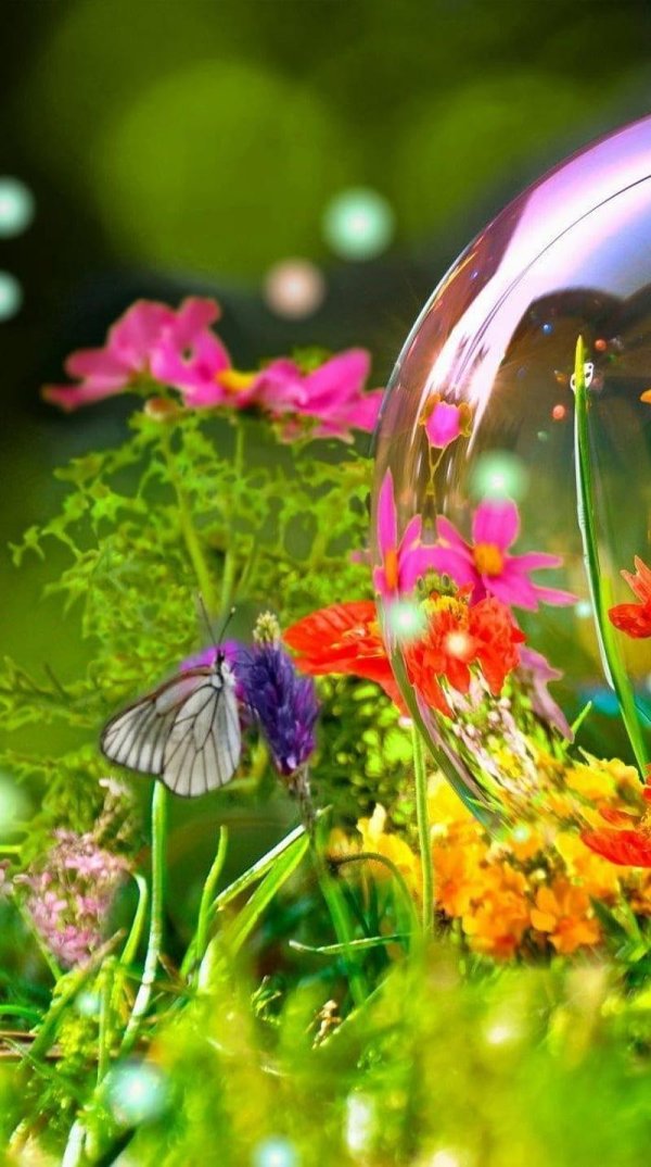 мыльные пузыри красиво