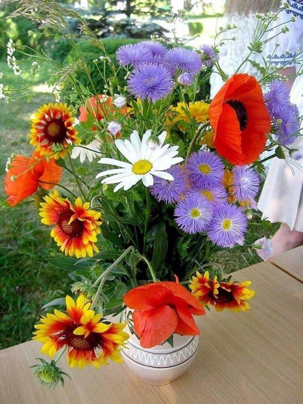 букет полевых цветов