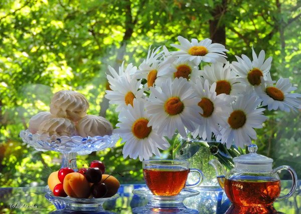 летнего утра