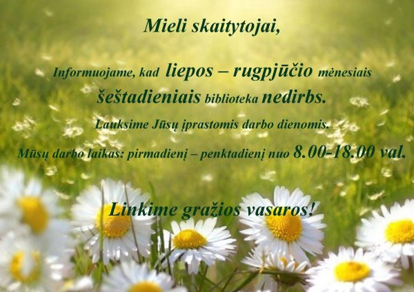 цветки ромашки