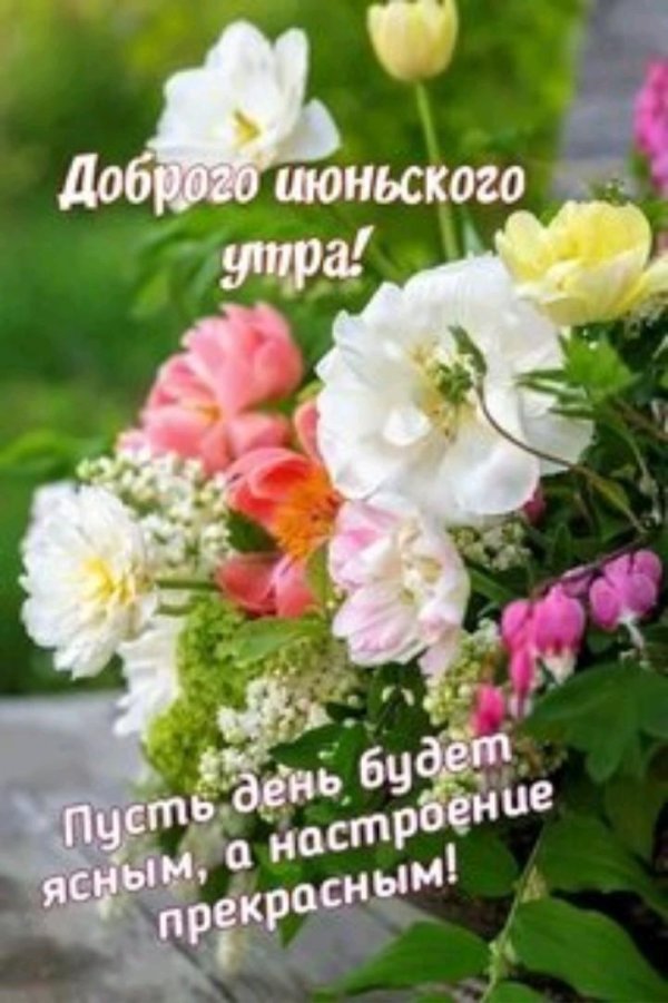 цветы красивая