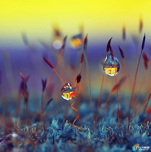 природы вдохновение