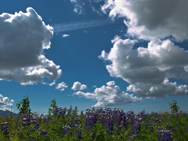 красота неба 2 класс окружающий мир