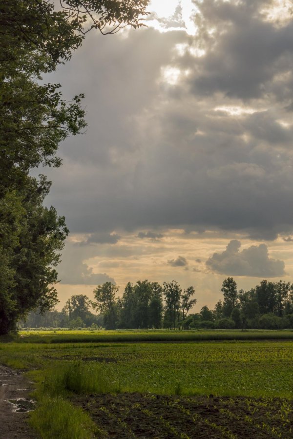 сельский пейзаж