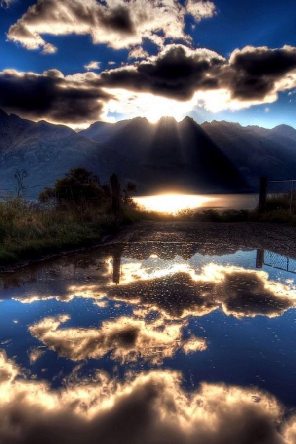 мемы про природу