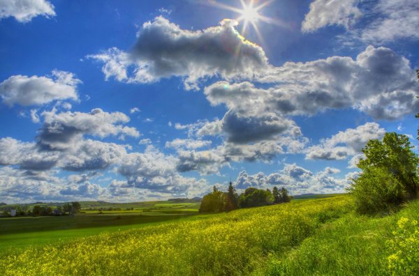 летние пейзажи