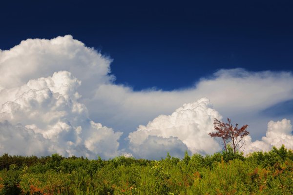 облака кучевые