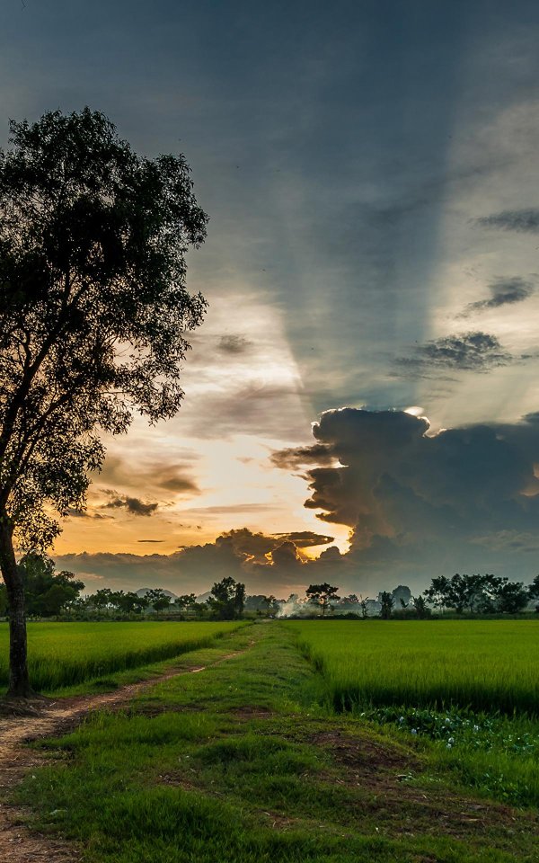 красивейшие пейзажи