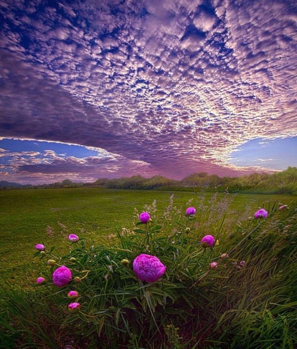 красота природа