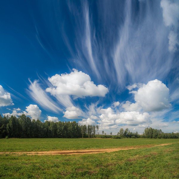 облака над полем