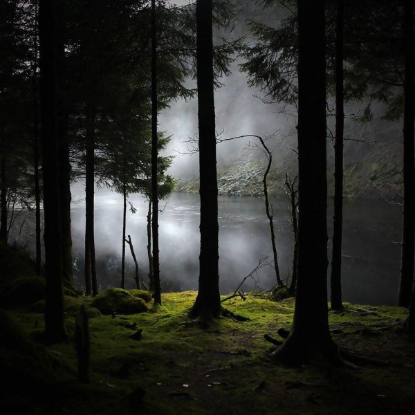 природа темная