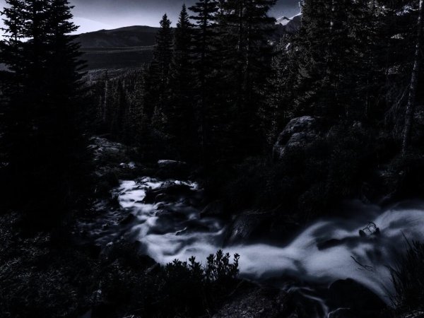 черная природа