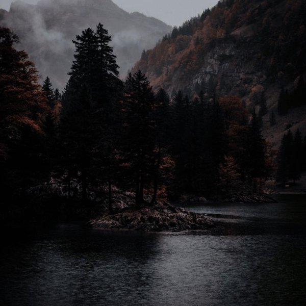 темная природа