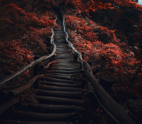 лестница красивая