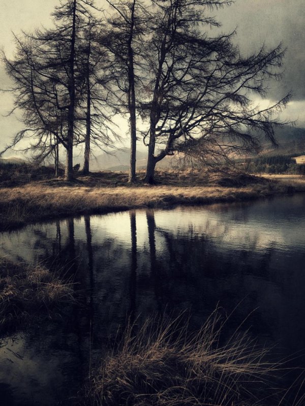 мрачная природа