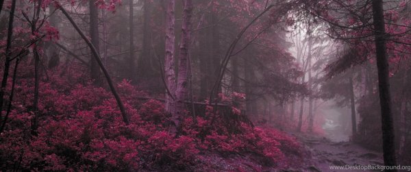 эстетика природа