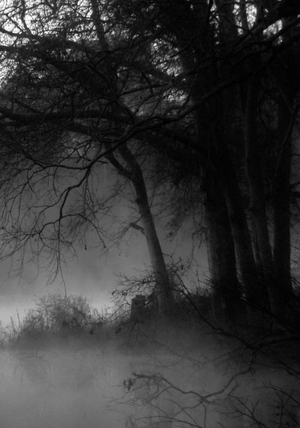 пейзаж туман