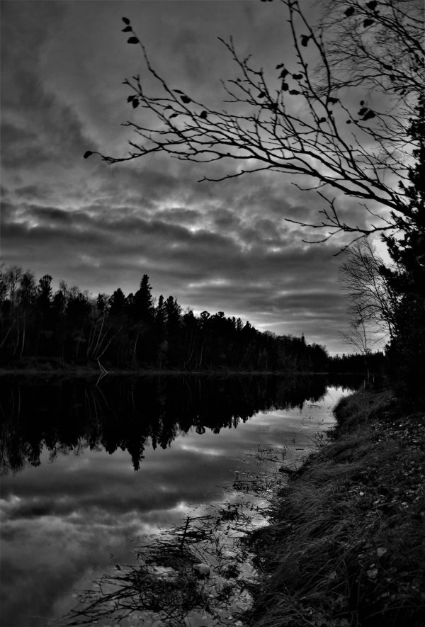 природа черно белая