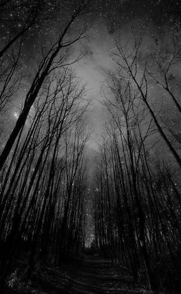 ночное небо