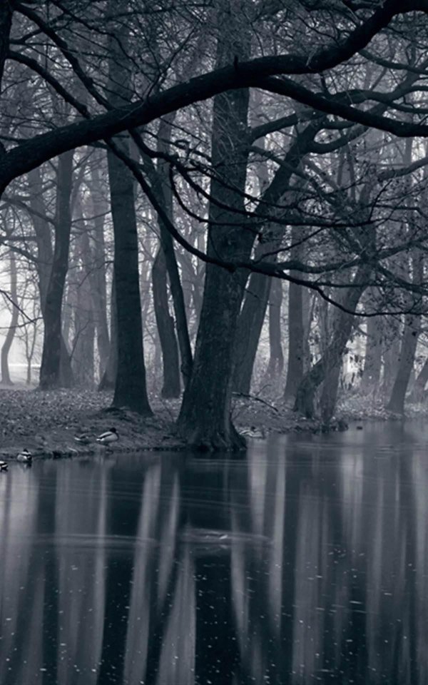 мрачная природа