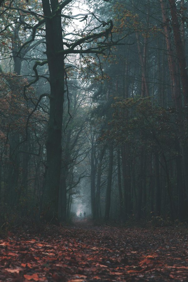 мрачные пейзажи