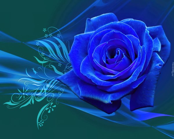 красивый синий цвет