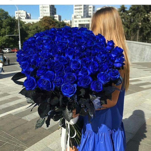 101 синяя роза