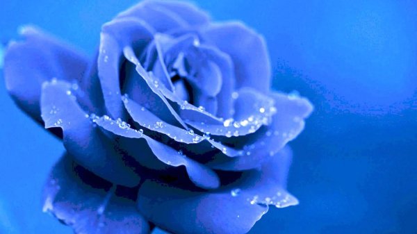 синего цвета