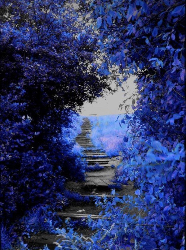 природа красивая