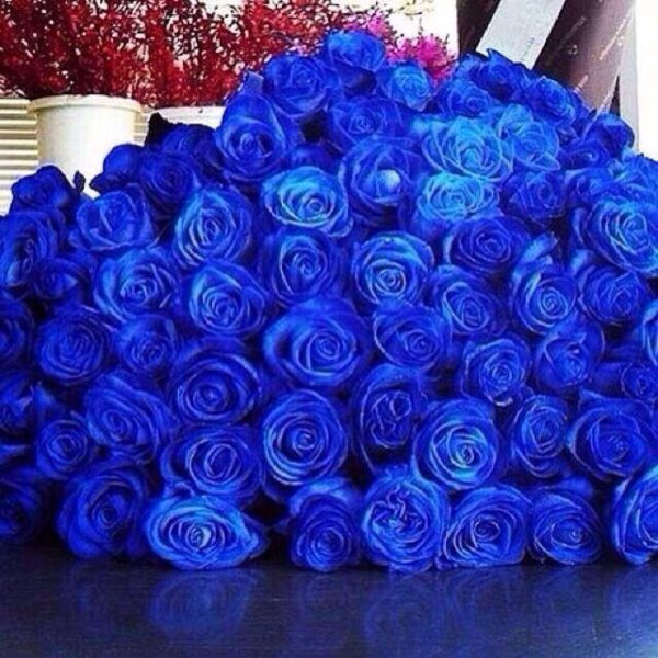 букет синих роз