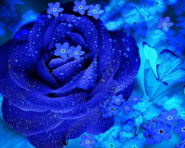 синего цвета