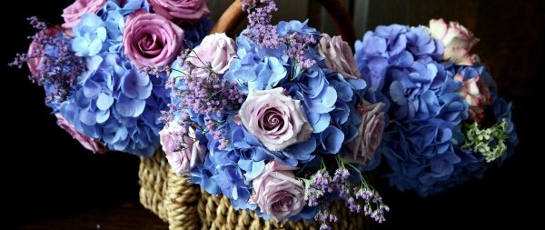 гортензии букет