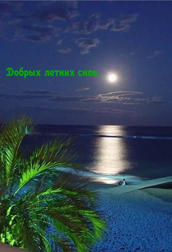 ночное море