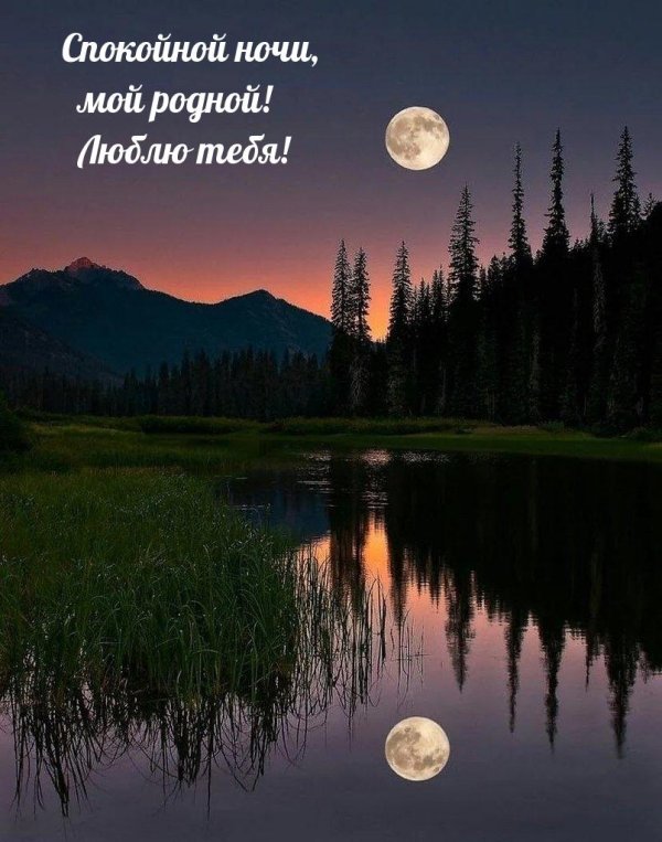 спокойная ночи
