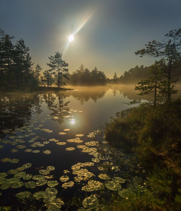 федор лашков ленинградская область