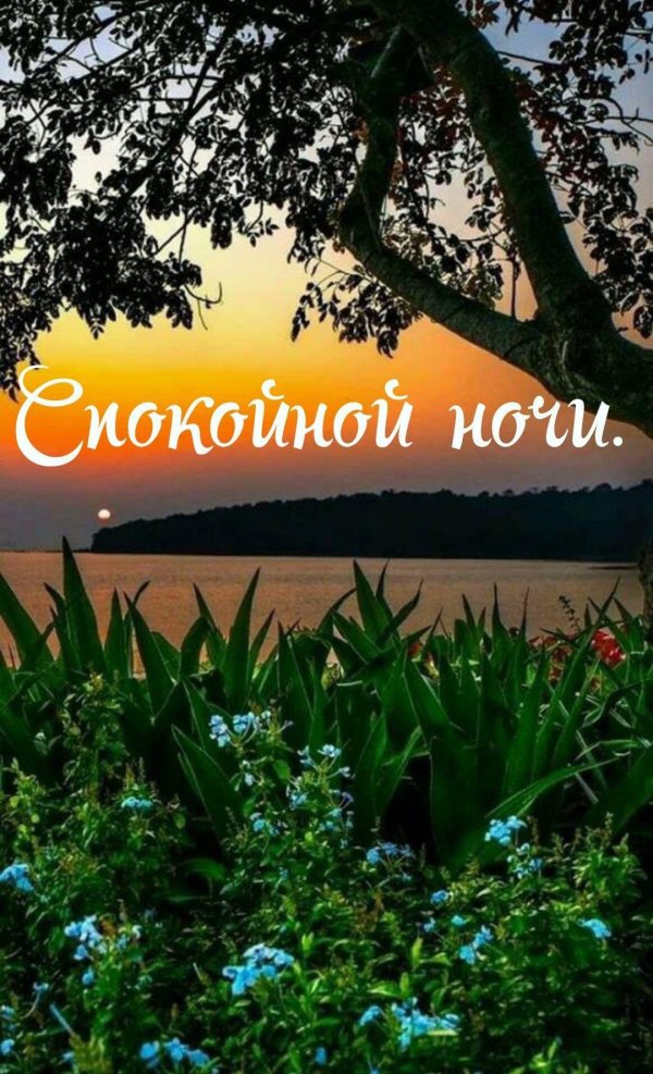 спокойная ночи