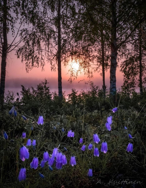 финский фотограф asko kuittinen