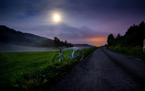 ночная дорога