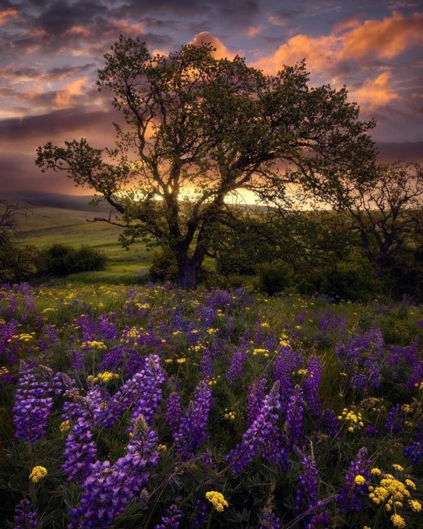 пейзажи красивые