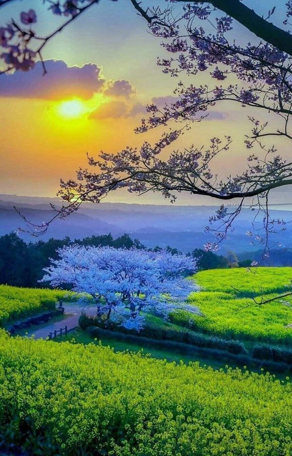 весенние пейзажи